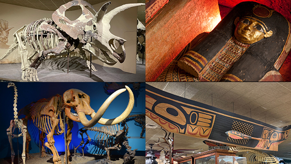 Assorted MPM exhibits