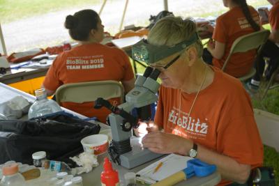 woman looking through microscope