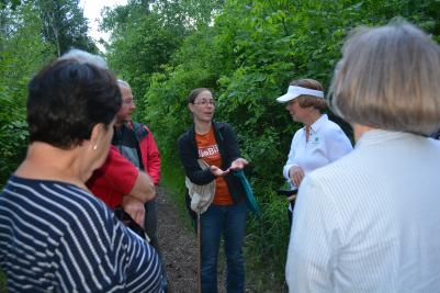 group talking in a forest