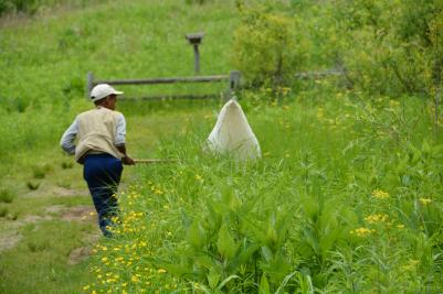 boy running with net through field