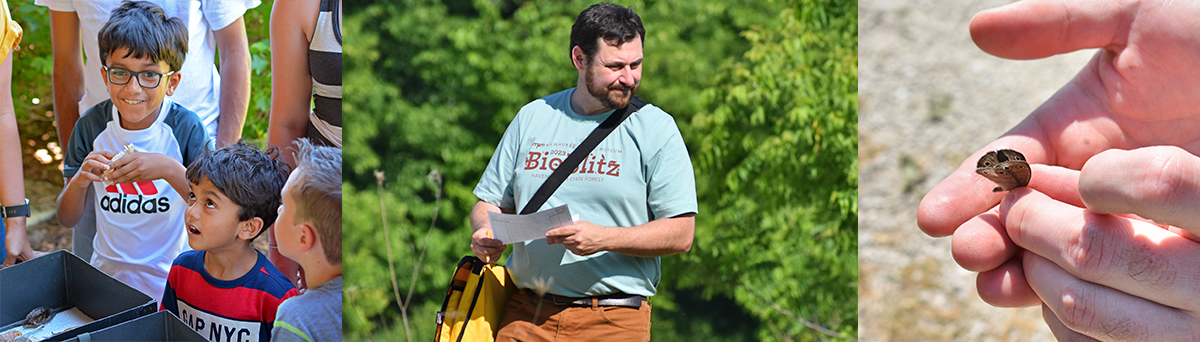 BioBlitz 2024