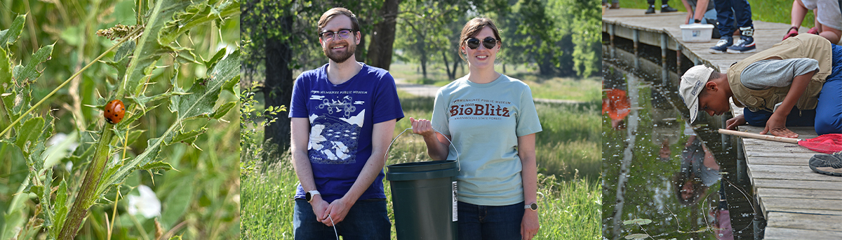 BioBlitz 2024