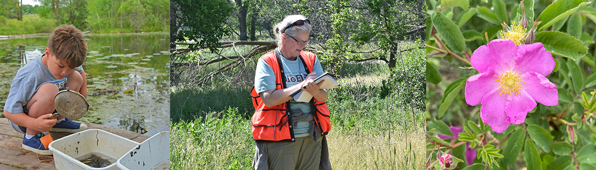 BioBlitz 2024