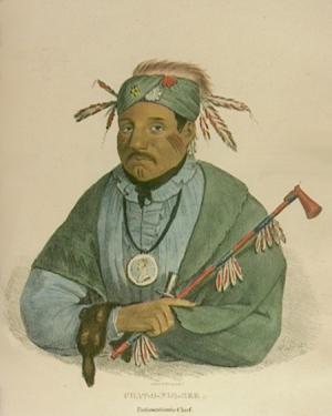 native american portrait