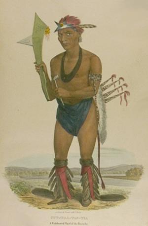 native american portrait