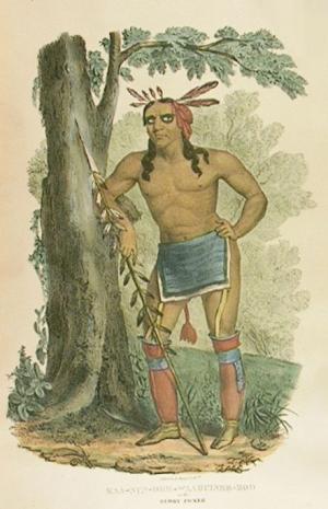 native american portrait