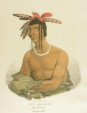 native american portrait