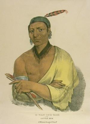 native american portrait