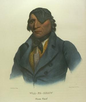 native american portrait