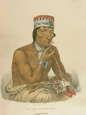 native american portrait