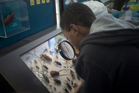 boy with magnifying glass