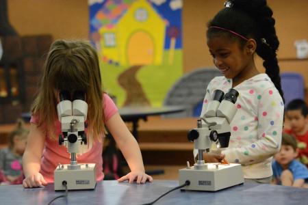 girls looking through microscopes