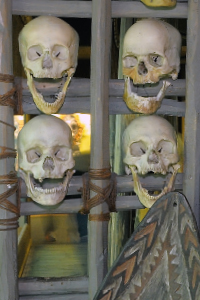 skulls