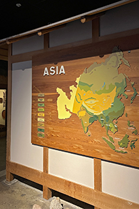 Asia Gallery