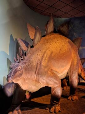 stegosaur