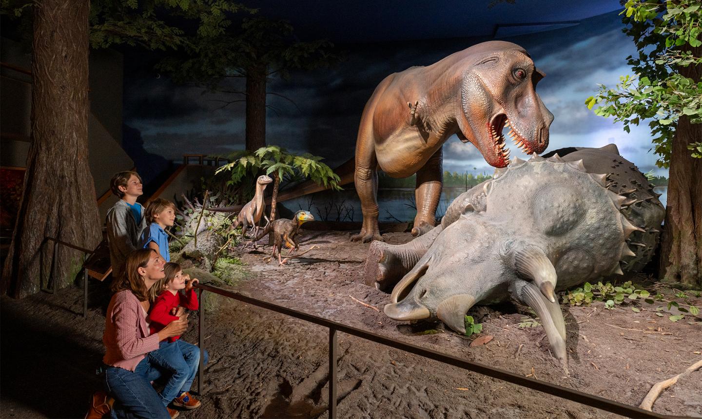 Family looking at Hell Creek diorama