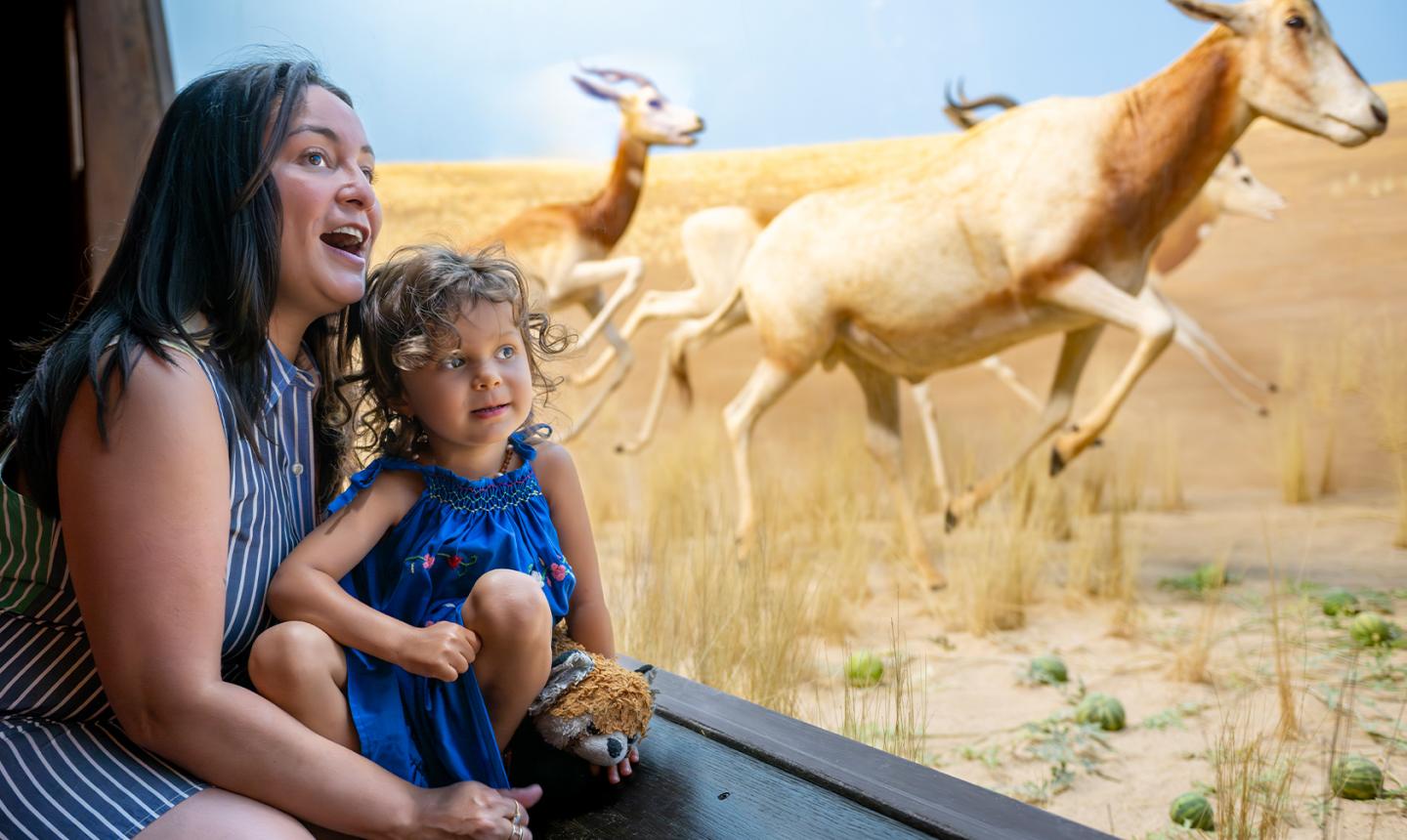 Mother and child looking at Africa gallery diorama